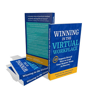 CHVO Book #1: Winning in the Virtual Workplace